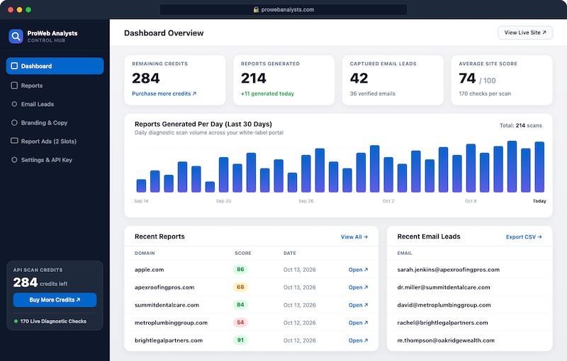 Admin panel for the site analyzer audit tool showing a graph and reports.